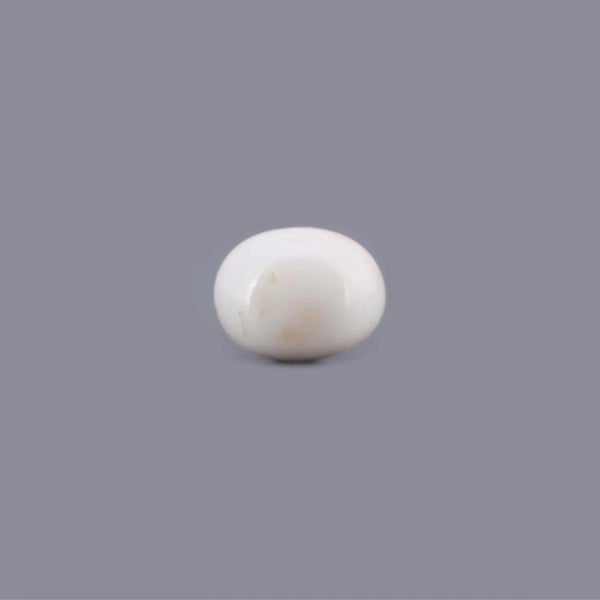 White Coral - 17.85 Carat