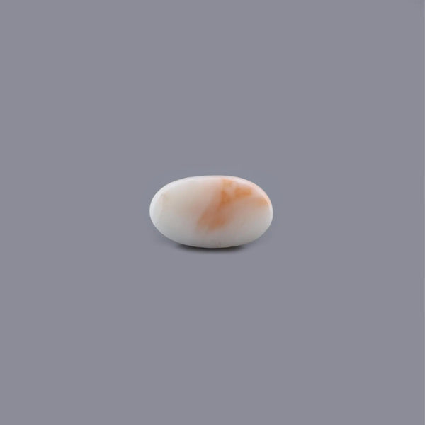 White Coral - 21.27 Carat