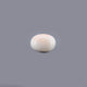 White Coral - 15.22 Carat - Pramogh