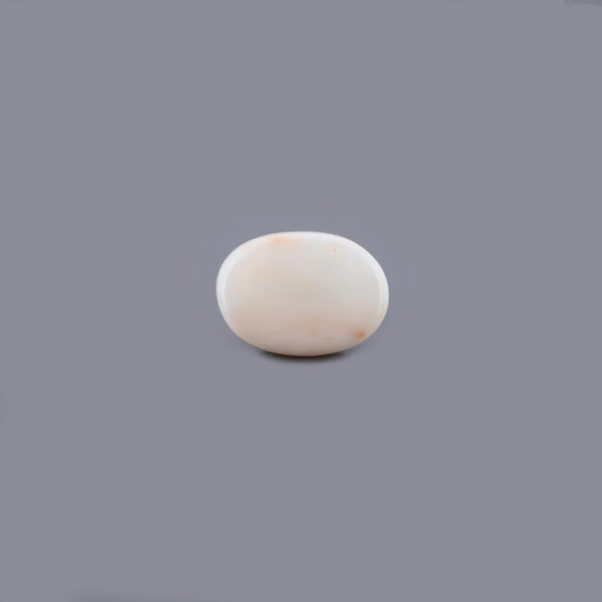 White Coral - 15.22 Carat - Pramogh