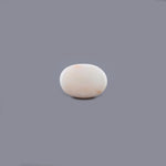 White Coral - 15.22 Carat - Pramogh