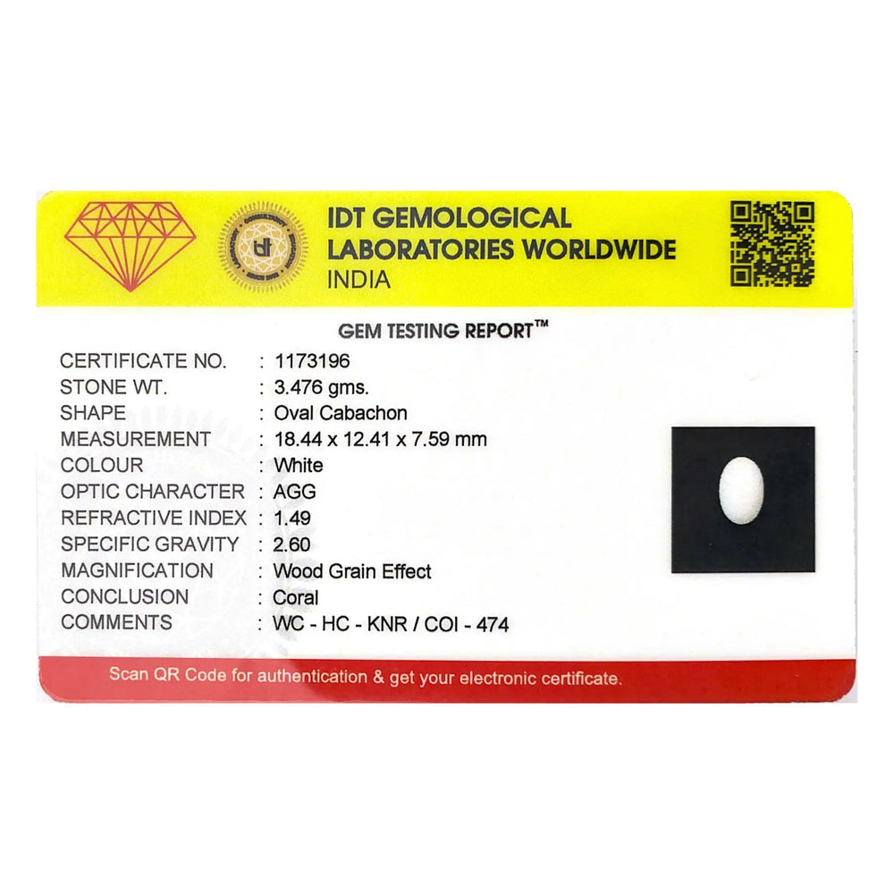 White Coral - 17.38 Carat - Pramogh