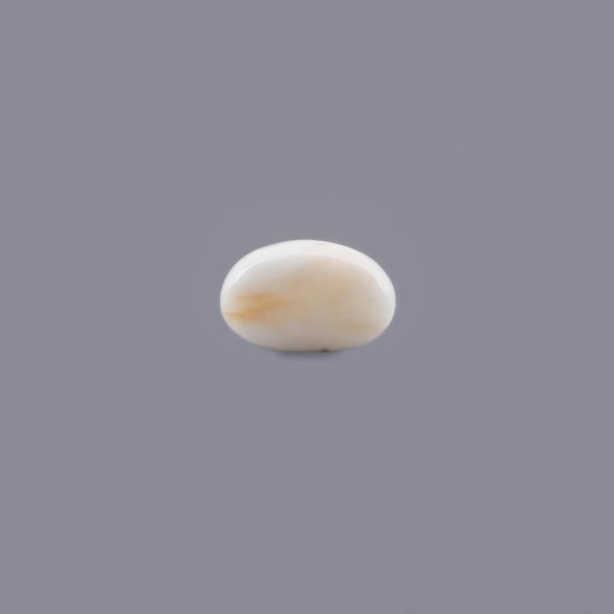 White Coral - 14.5 Carat - Pramogh