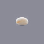 White Coral - 14.5 Carat - Pramogh