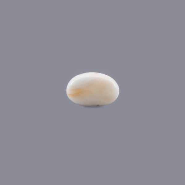 White Coral - 14.5 Carat