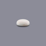 White Coral - 14.5 Carat - Pramogh