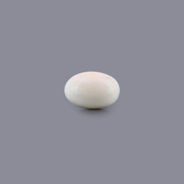 White Coral - 16.93 Carat