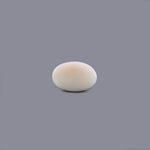White Coral - 16.93 Carat - Pramogh