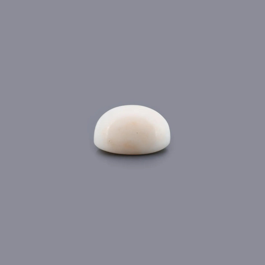White Coral - 16.93 Carat - Pramogh