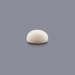 White Coral - 16.93 Carat - Pramogh