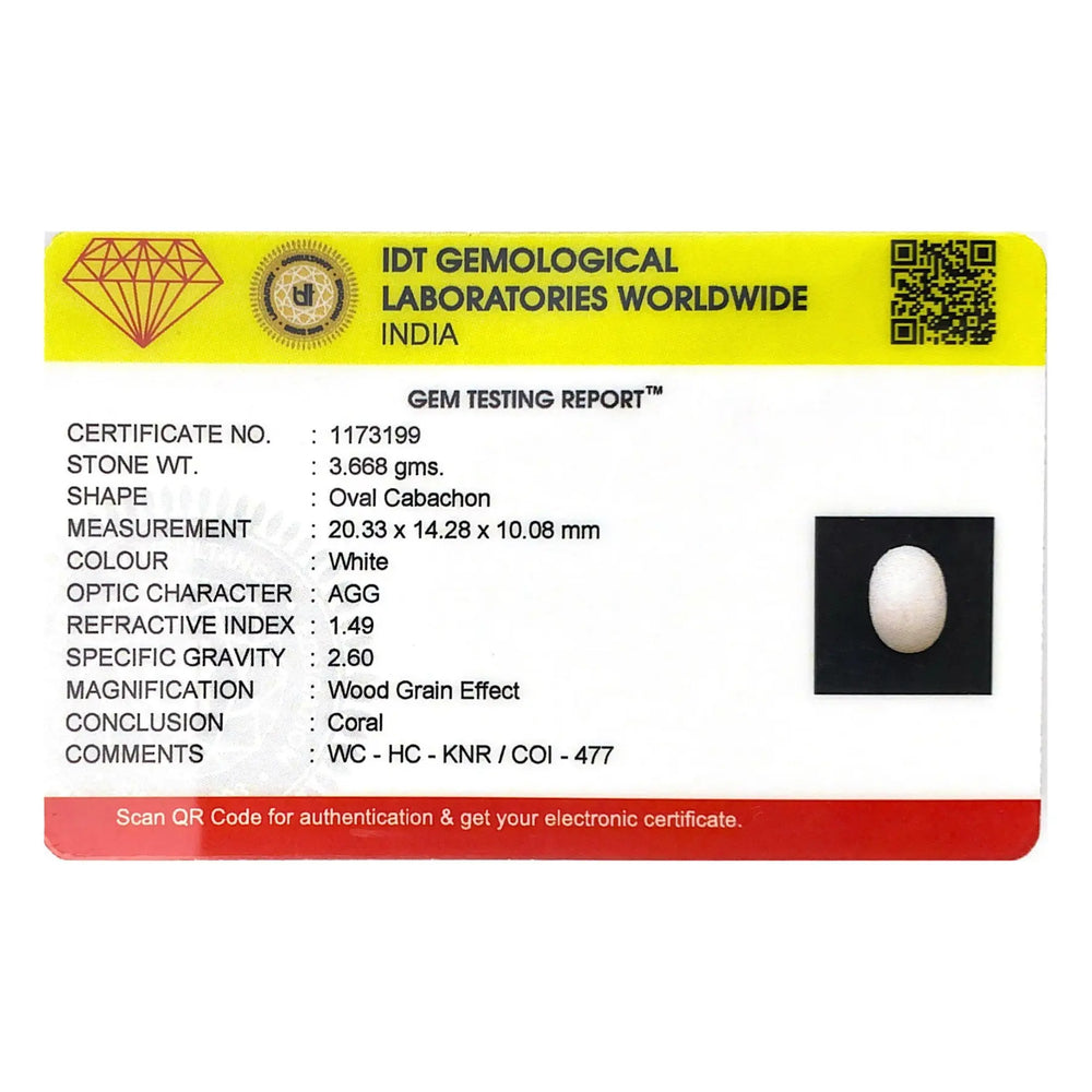 White Coral - 18.34 Carat - Pramogh