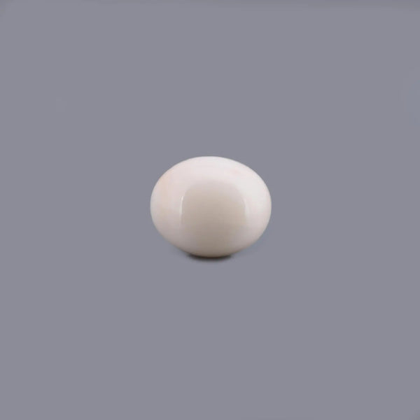 White Coral - 16.54 Carat