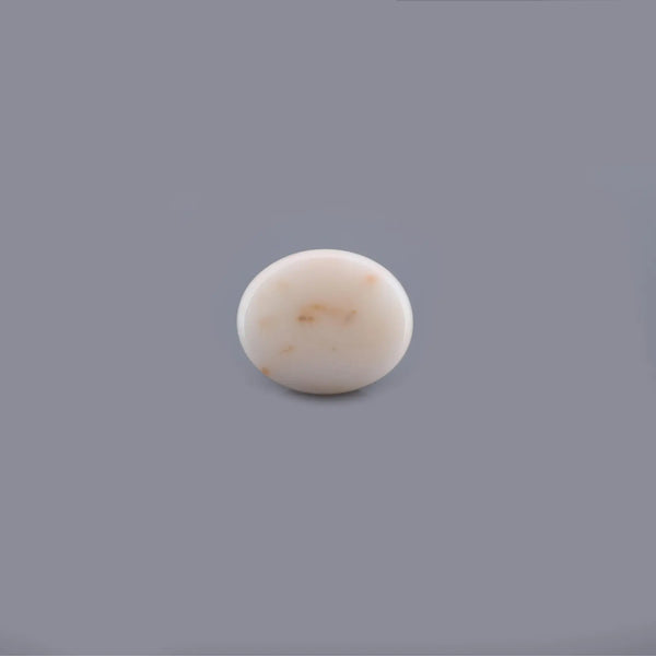 White Coral - 16.54 Carat