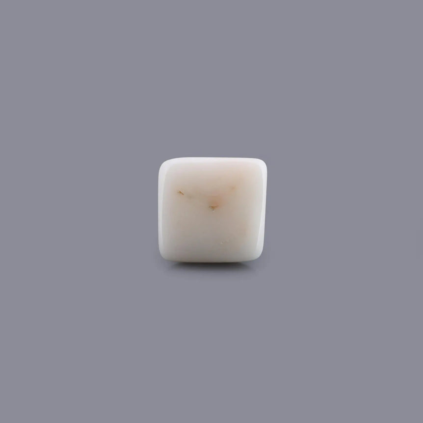 White Coral - 14.97 Carat - Pramogh