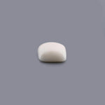 White Coral - 14.97 Carat - Pramogh