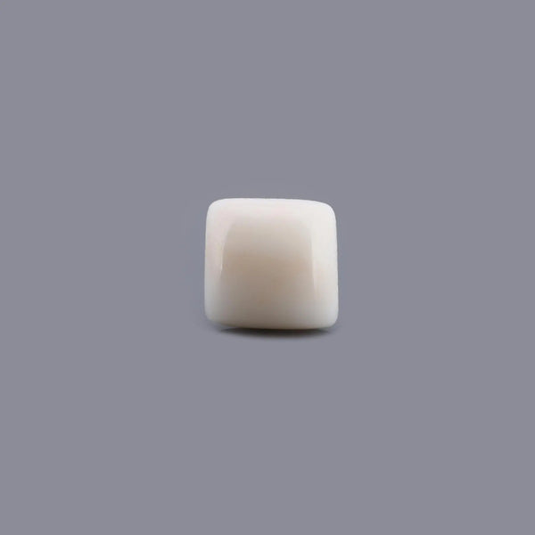 White Coral - 6.65 Carat