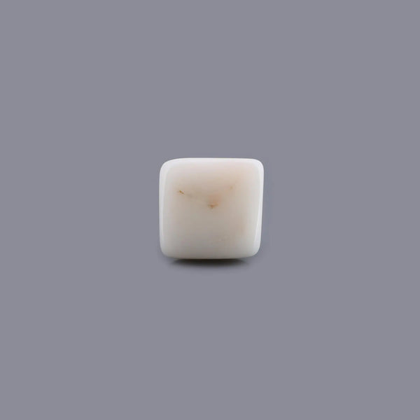 White Coral - 6.65 Carat