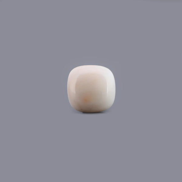 White Coral - 14.29 Carat