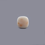 White Coral - 14.29 Carat - Pramogh