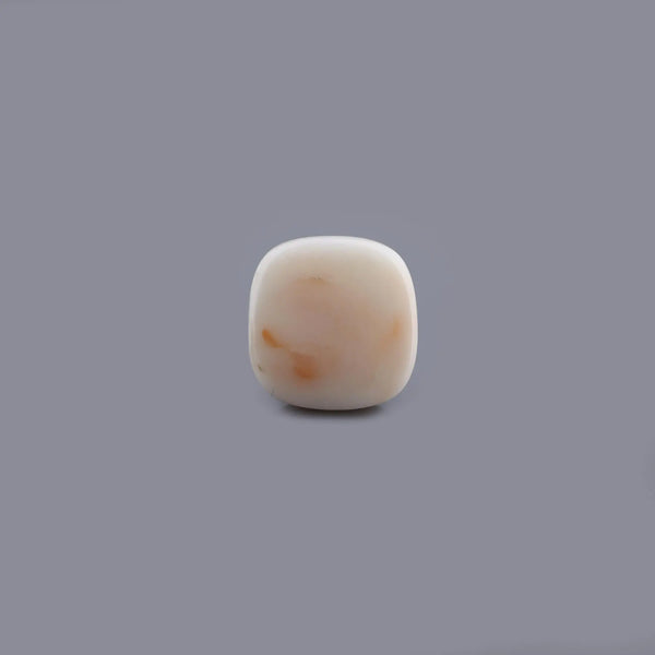 White Coral - 14.29 Carat