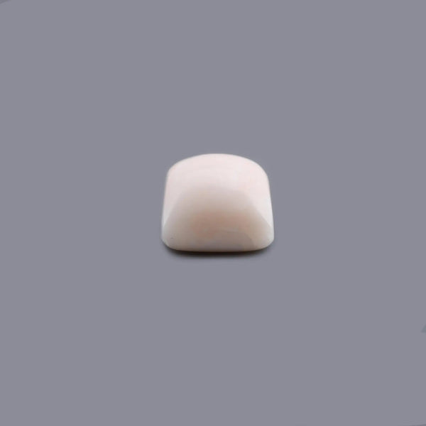 White Coral - 19.83 Carat