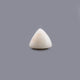 White Coral - 12.63 Carat - Pramogh