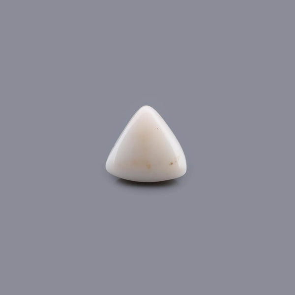 White Coral - 13.64 Carat