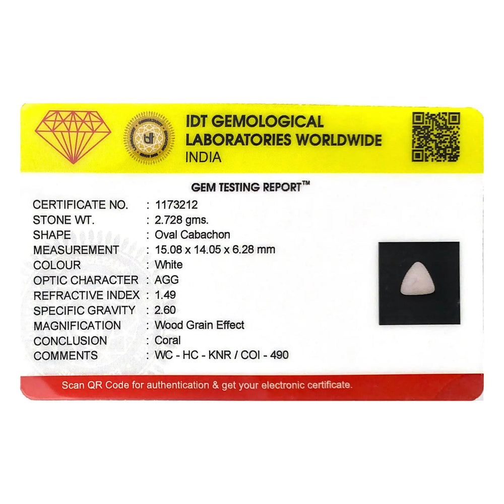 White Coral - 13.64 Carat - Pramogh