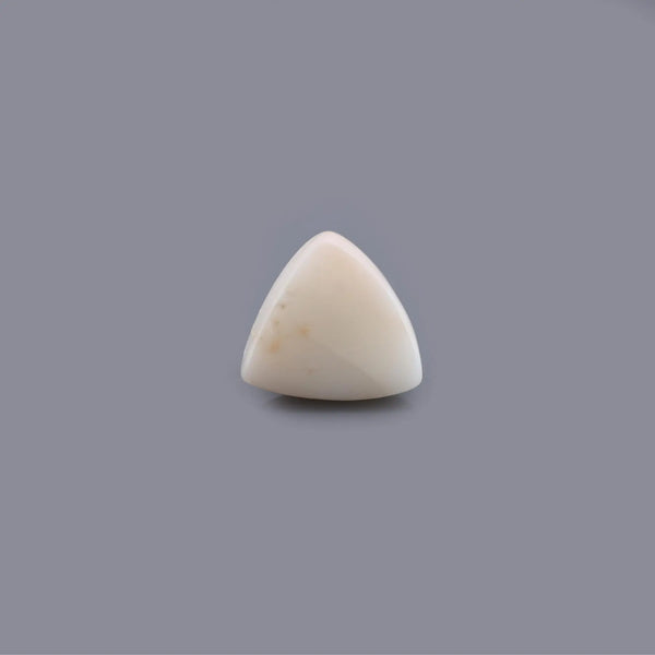 White Coral - 18.59 Carat