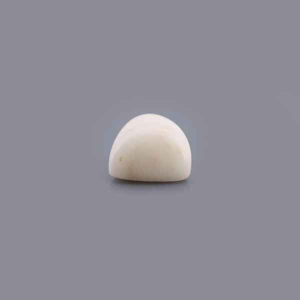 White Coral - 18.59 Carat