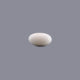 White Coral - 5.77 Carat - Pramogh