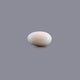White Coral - 5.93 Carat - Pramogh