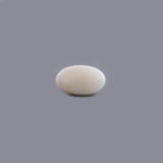White Coral - 5.93 Carat - Pramogh