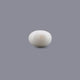 White Coral - 5.25 Carat - Pramogh