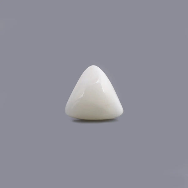 White Coral - 6.68 Carat