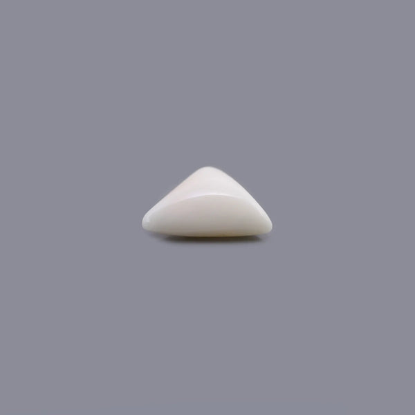 White Coral - 9.25 Carat