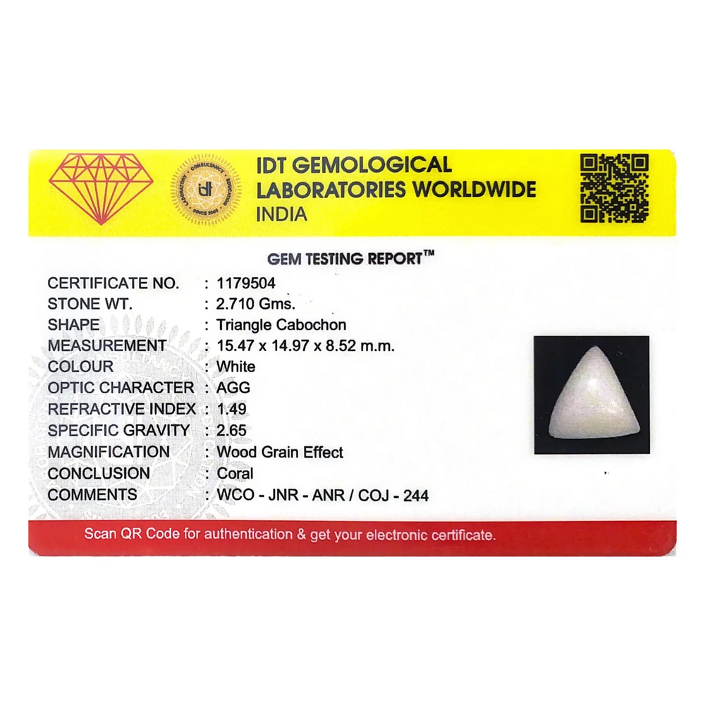 White Coral - 13.55 Carat - Pramogh