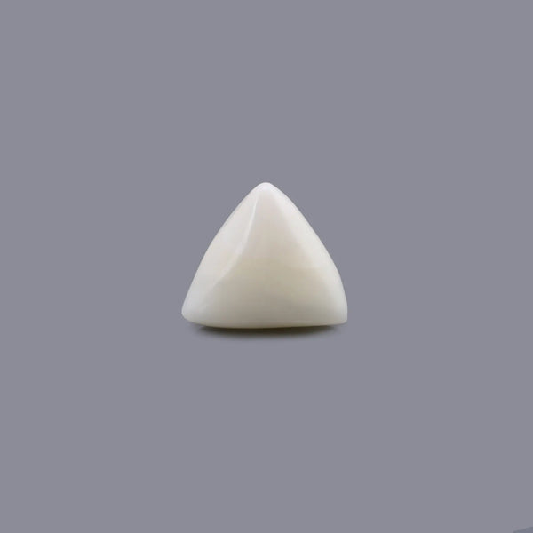 White Coral - 11.3 Carat