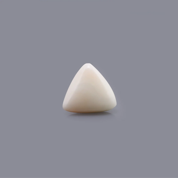 White Coral - 8.4 Carat