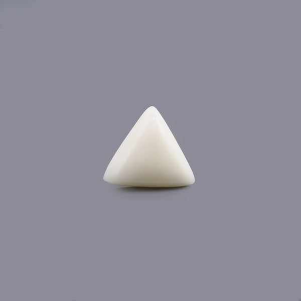 White Coral - 5.9 Carat