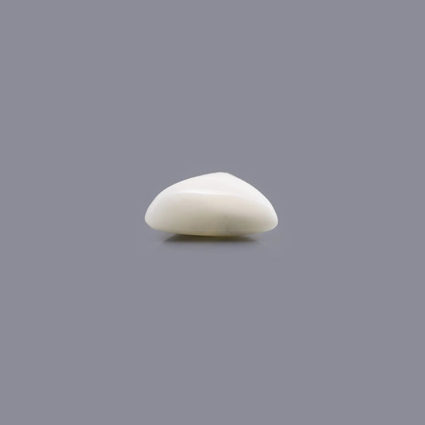 White Coral - 5.9 Carat