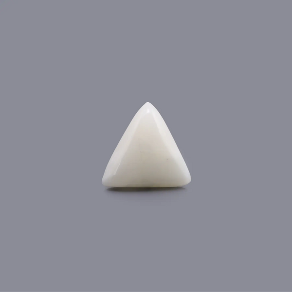 White Coral - 6.7 Carat