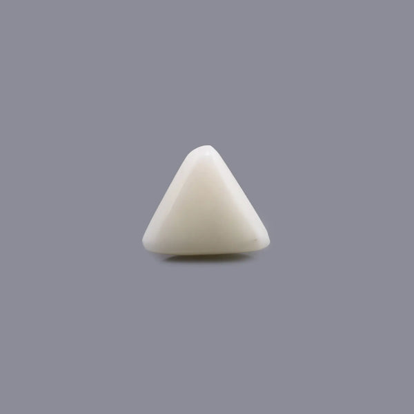 White Coral - 6.2 Carat