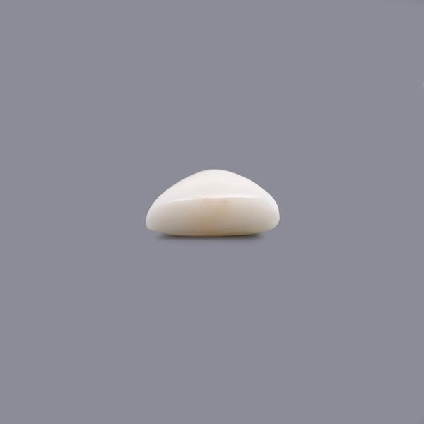 White Coral - 6.25 Carat