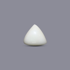Italian White Coral - 5.65 Carat - Pramogh