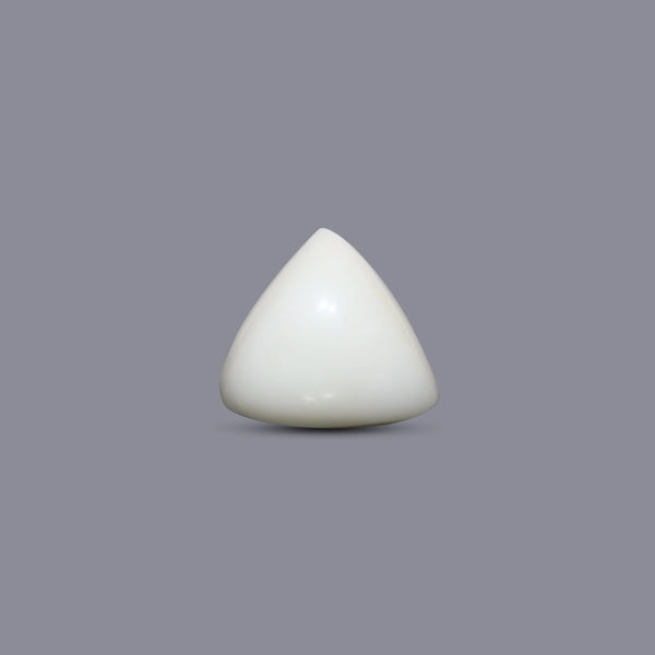 Italian White Coral - 5.65 Carat - Pramogh