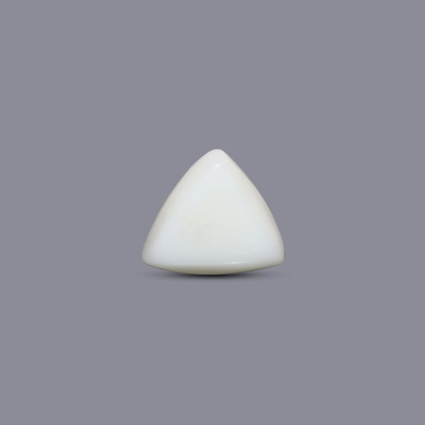 White Coral - 5.65 Carat