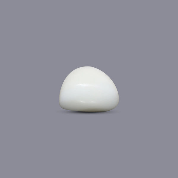White Coral - 5.65 Carat