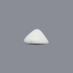 White Coral - 5.25 Carat