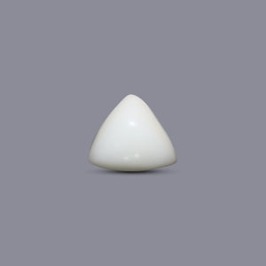 Italian White Coral - 7.45 Carat - Pramogh